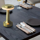 Aura Dome Cordless Table Lamp