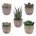 Verdea Artificial Succulent Plant Decor